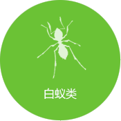 白蟻防治
